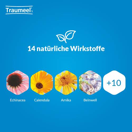 TRAUMEEL S Creme